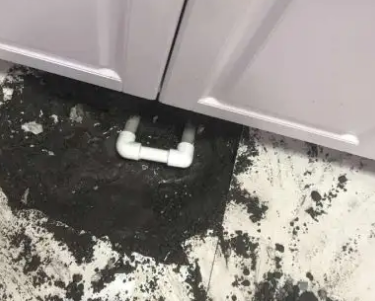 昂昂溪查漏水哪家好