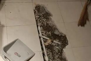 昂昂溪卫生间漏水检测电话